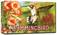 Hummingbird